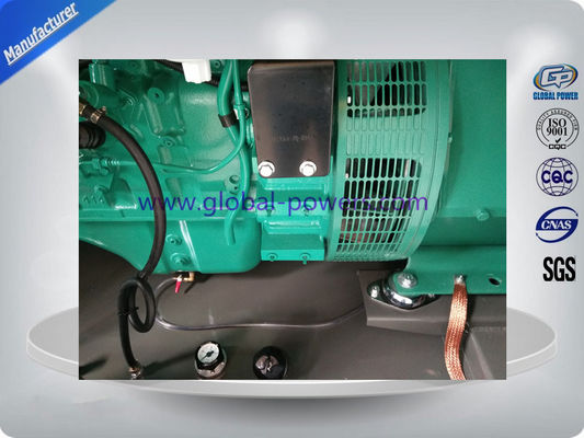 Backup Power Silent Diesel Generator Set 226 KW / 283 KVA Low Fuel Consumption تامین کننده