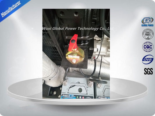 ژنراتور دیزلی باز 250 کیلووات / 313 کیلوولت آمپر، ژنراتور برق جهانی با نیروی دیزل تامین کننده